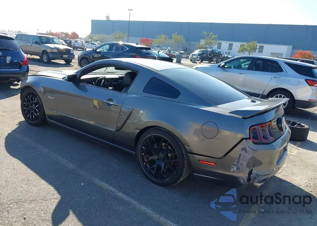 1ZVBP8CF0E5252907: 43861145