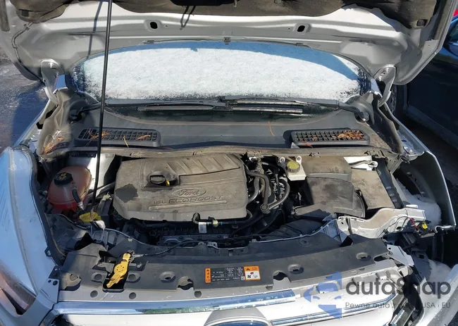 1FMCU9GD8JUB92501: 43861198