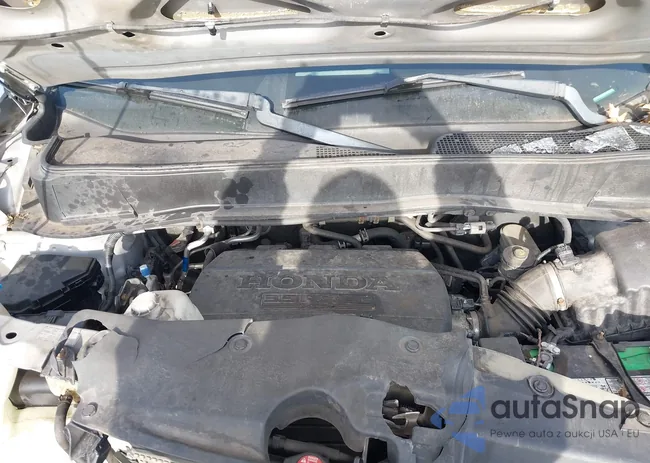 5FNYF4H94BB097509: 43861378