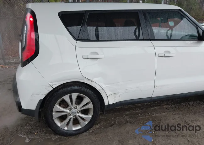 KNDJP3A55G7316197: 43861435