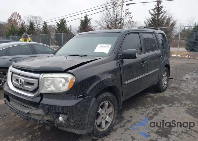 5FNYF4H98BB091907: 43860530