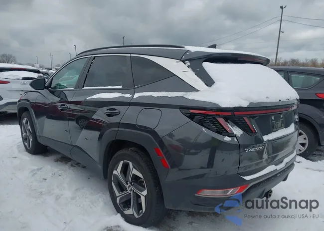 5NMJFCDEXRH342062: 43860643