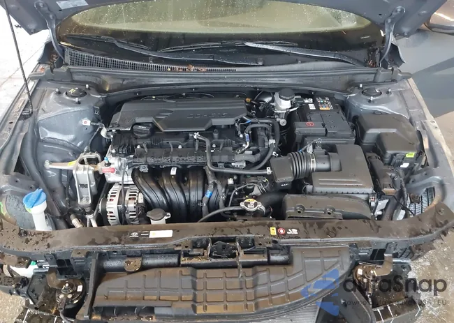 KMHLL4DG2RU784783: 43860873