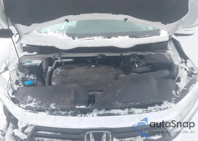 5FNRL6H8XNB026593: 43861947