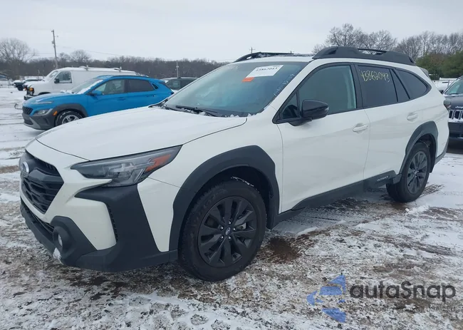 4S4BTALC2S3209989: 43862043