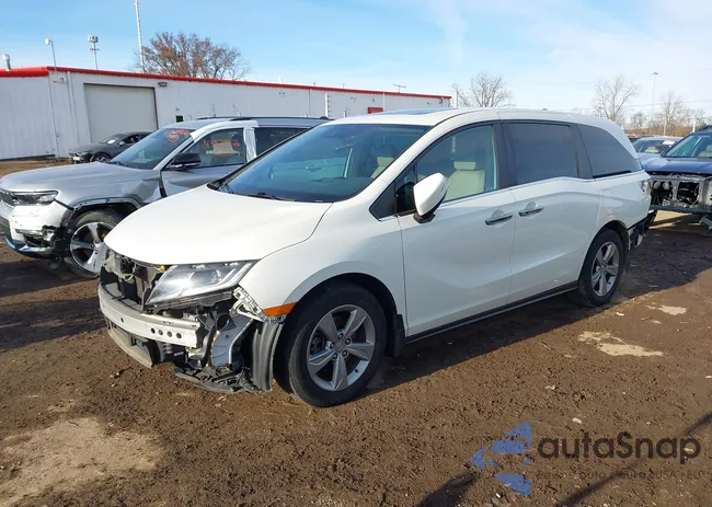 5FNRL6H70JB084374: 43862328