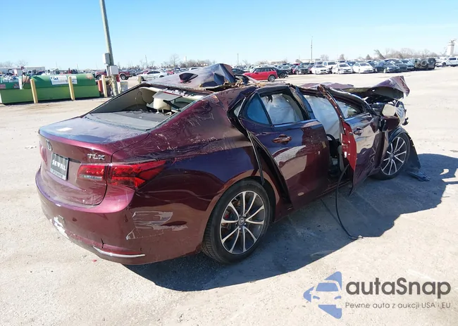 19UUB2F51FA004539: 43861589