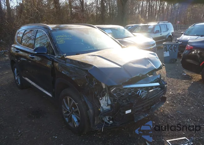 5NMS3CAD0LH246585: 43863128