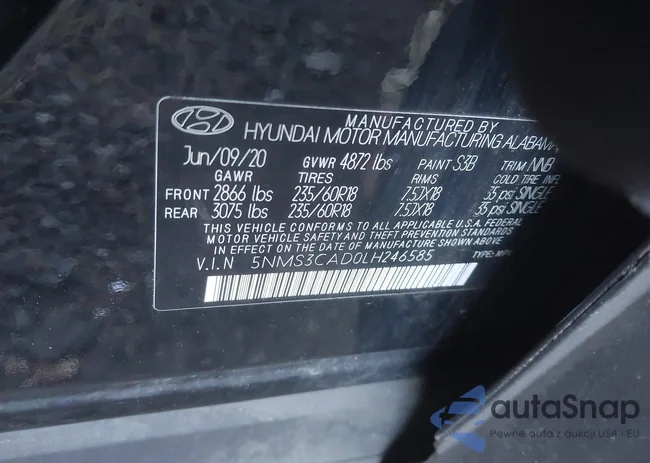 5NMS3CAD0LH246585: 43863128