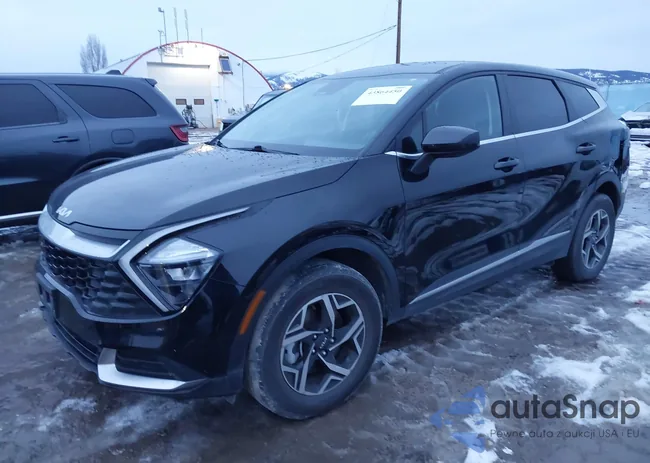 KNDPUCAF9P7174044: 43864450