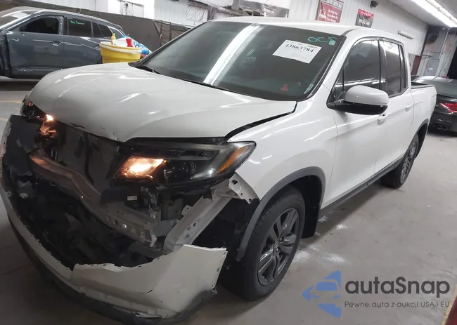 5FPYK2F19KB005184: 43863784