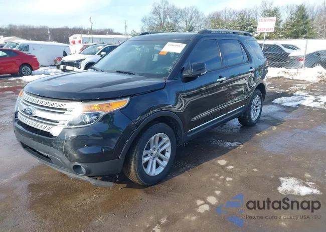 1FM5K8D87EGA97853: 43864512