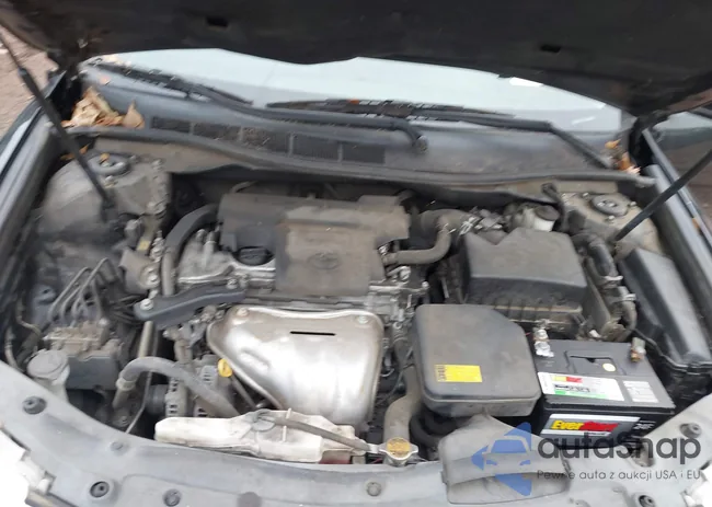 4T1BF1FK8CU591922: 43866029