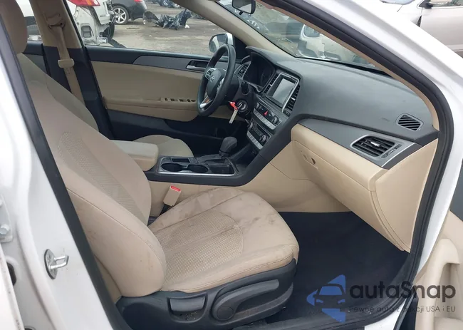 5NPE24AFXKH730563: 43866328