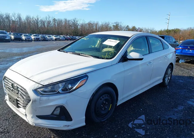 5NPE24AFXKH730563: 43866328