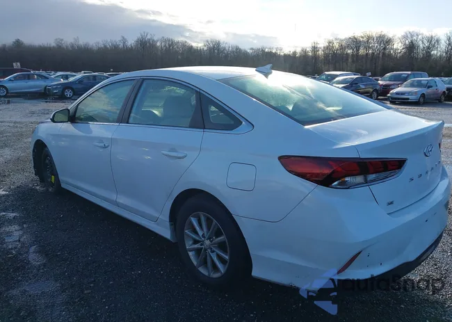 5NPE24AFXKH730563: 43866328