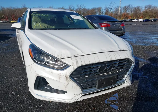 5NPE24AFXKH730563: 43866328