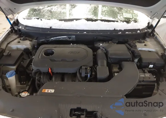 5NPE24AF4HH520081: 43866428