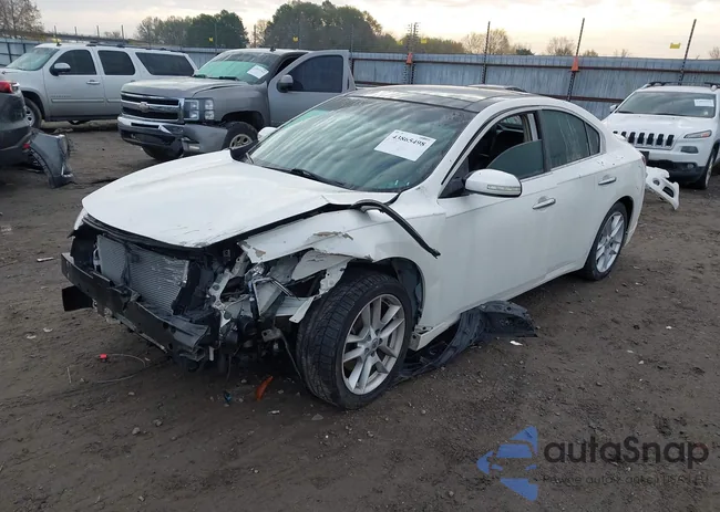 1N4AA5AP9BC842952: 43865498