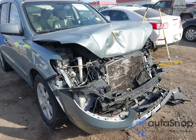 5NMSH13E09H258806: 43865569