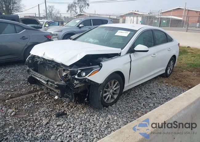 5NPE24AF2JH623859: 43865711