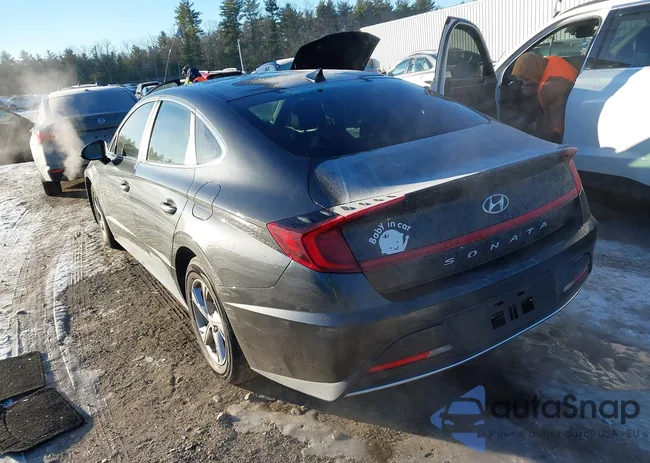 5NPEG4JA9MH068533: 43865784