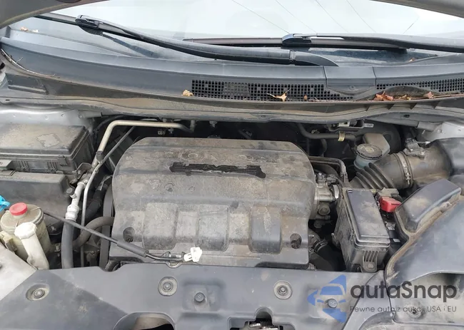 5FNRL5H66EB042203: 43867741