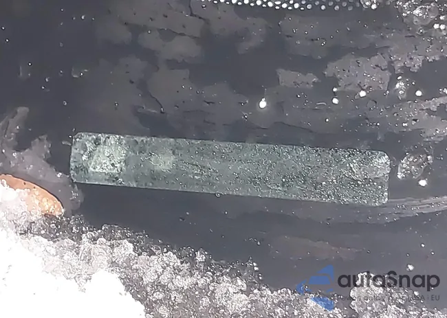 1GNLREED5AS110342: 43868992