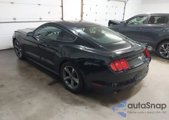 1FA6P8THXG5229410: 43869015