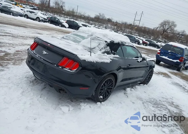 1FATP8UH1G5331146: 43869091