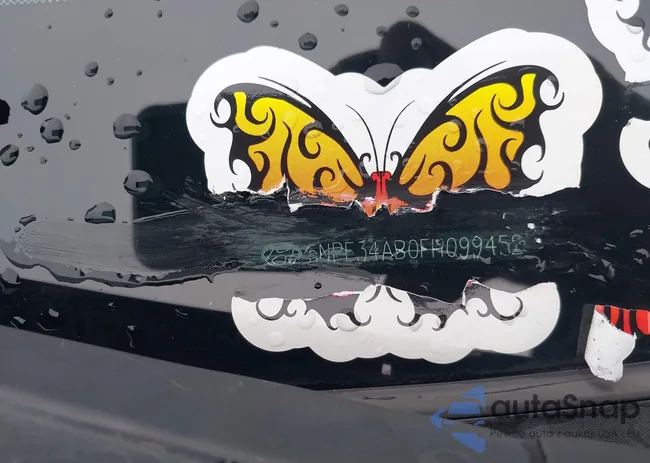 5NPE34AB0FH099452: 43869108