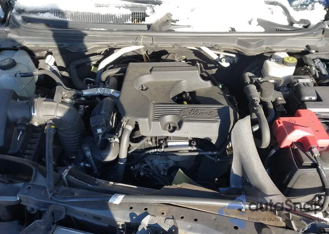 1FTER4FH8KLA84117: 43869531