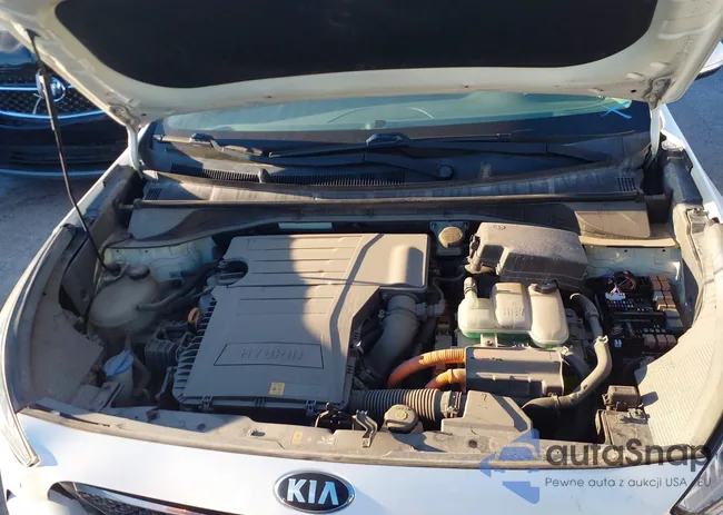 KNDCE3LC3H5089566: 43871983