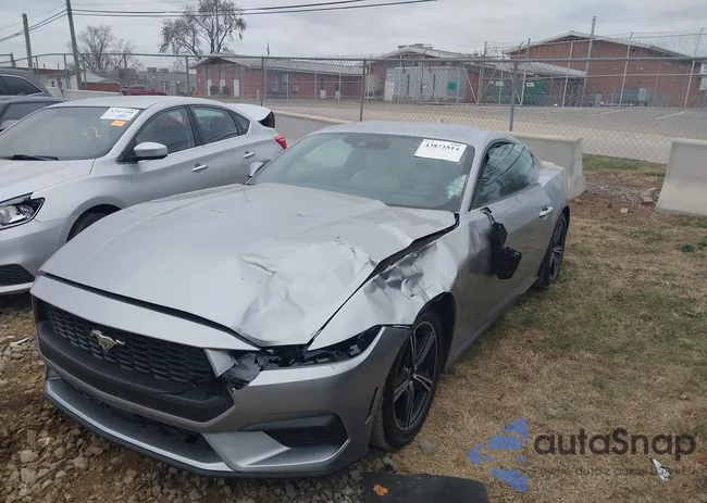 1FA6P8TH6R5108215: 43871814