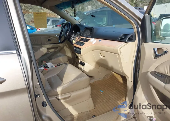 5FNRL38896B003371: 43872934