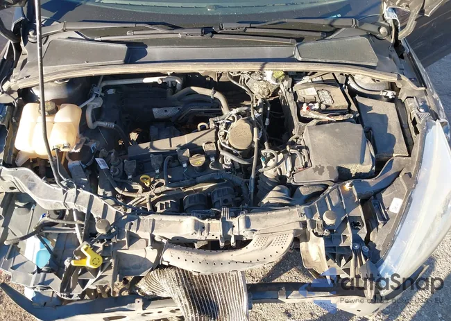 1FADP3F23FL239305: 43873245