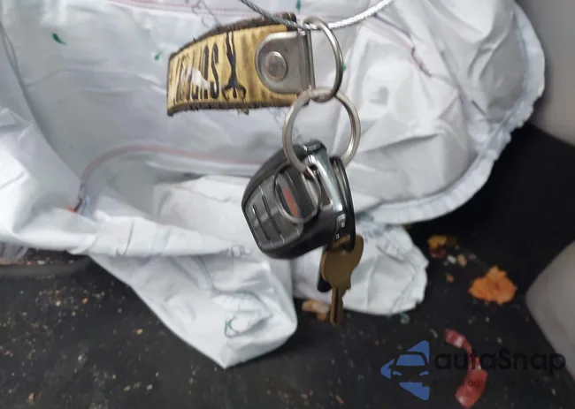 2C4RC1BG8LR269310: 43873407