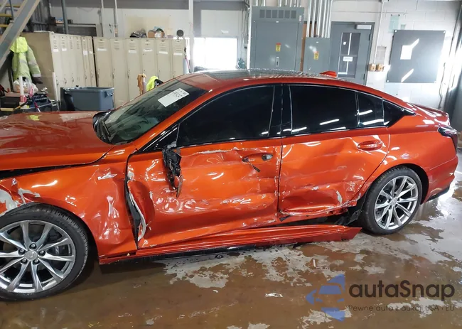 1G6DR5RW8P0146333: 43874247