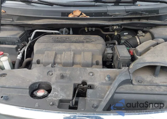 5FNRL5H6XDB005668: 43873786