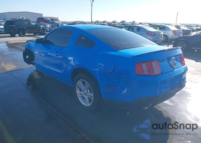 1ZVBP8AM3C5261986: 43873834