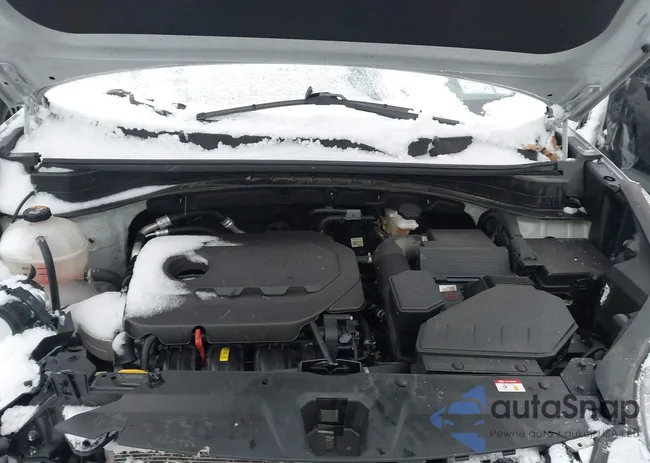 KNDPMCAC8M7935230: 43873853