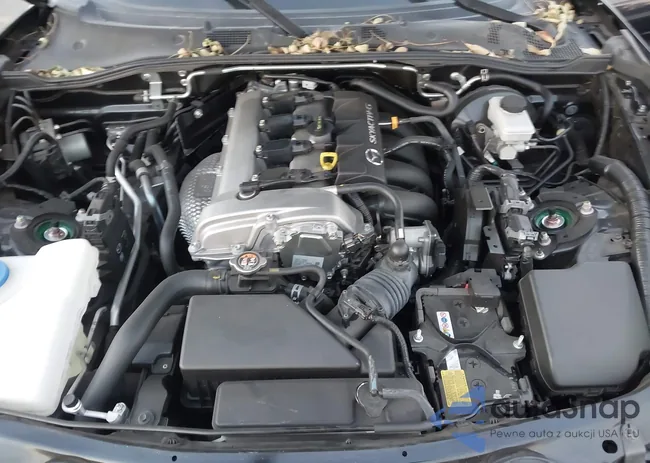 JM1NDAB76N0501489: 43874773