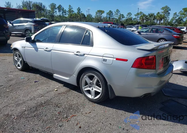 19UUA66295A061327: 43874807