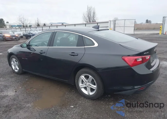 1G1ZD5ST1PF234888: 43874819