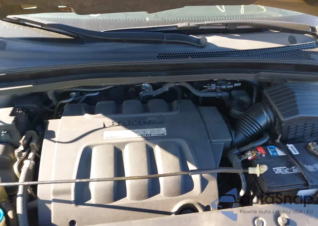 5FNRL38665B021016: 43875853