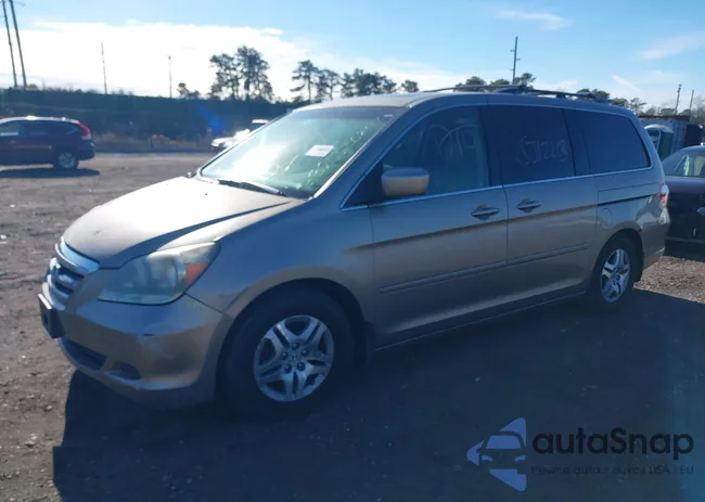 5FNRL38665B021016: 43875853