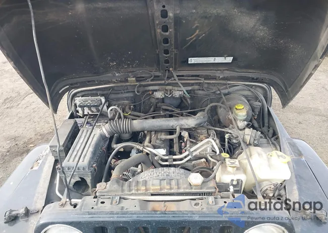 1J4FA59S73P334007: 43876900