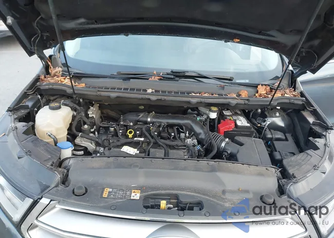 2FMPK3J94JBB68372: 43877045