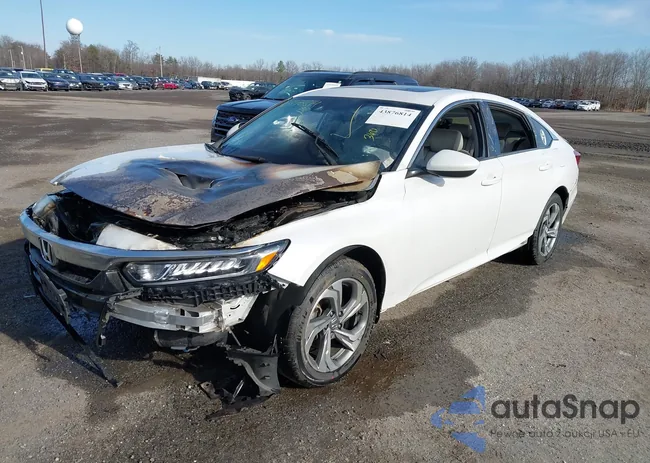 1HGCV1F49KA100496: 43876814