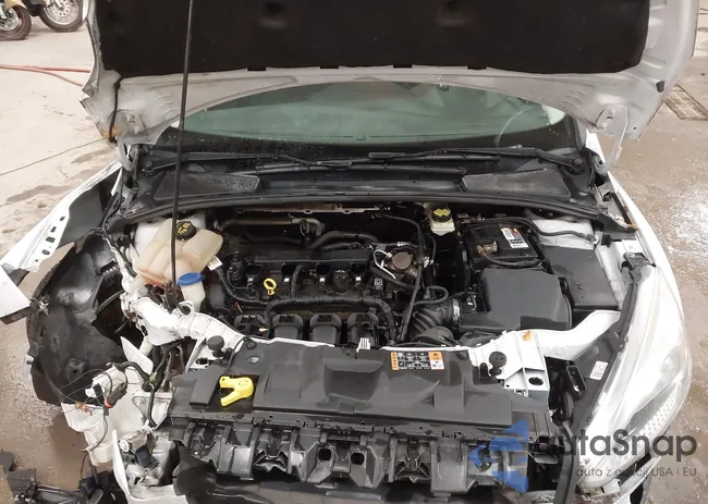 1FADP3K2XHL290938: 43877932